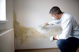 Best Real Estate Mold Inspection in USA